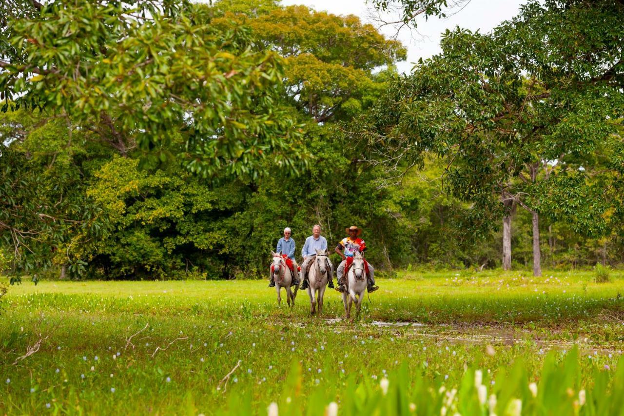 Poconé Pousada Piuval المظهر الخارجي الصورة