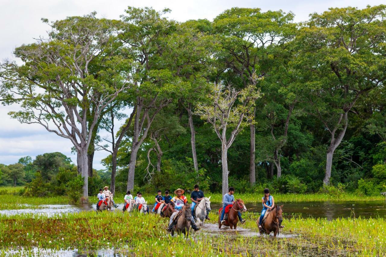 Poconé Pousada Piuval المظهر الخارجي الصورة