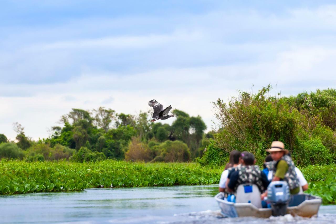 Poconé Pousada Piuval المظهر الخارجي الصورة