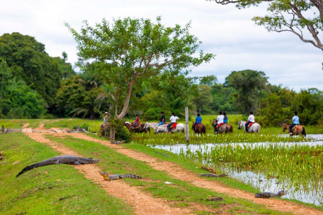 Poconé Pousada Piuval المظهر الخارجي الصورة