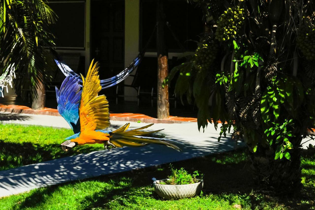 Poconé Pousada Piuval المظهر الخارجي الصورة
