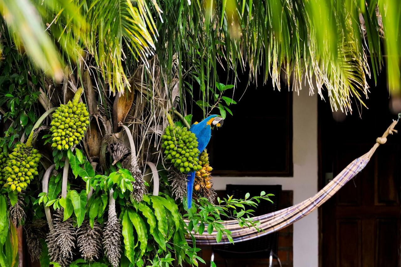 Poconé Pousada Piuval المظهر الخارجي الصورة